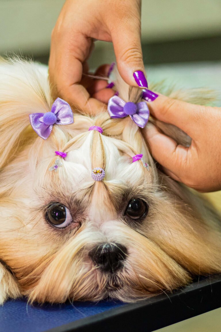 Penteado